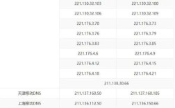 互联网服务器地址是什么？