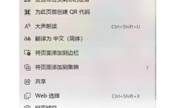 电脑浏览器如何下载视频？