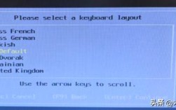 dell服务器安装vmware