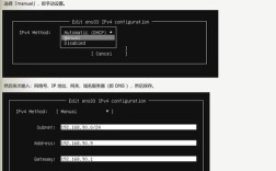 Oracle 10g服务器端哪里下载？
