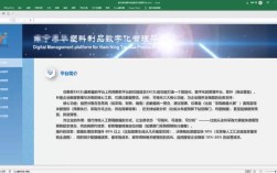 勤哲excel服务器2025