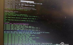 Linux视频服务器如何高效搭建？