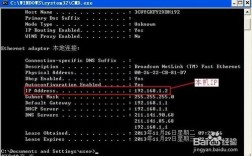 ping了服务器的ip地址