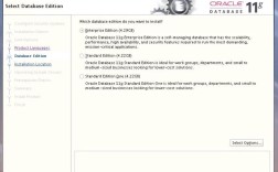 Oracle 11g服务器安装教程，步骤详细吗？