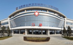 菏泽众皓网站建设有何优势？