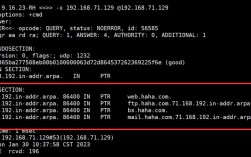 Linux如何查看当前DNS服务器？