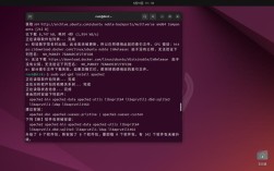 如何访问本地Apache服务器？