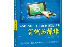 NET网站开发实例有哪些核心步骤？