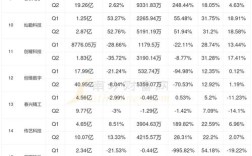 2025华为上半年服务器收入