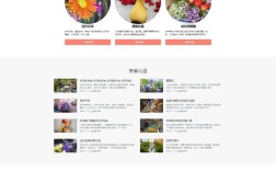 电商网站模板html