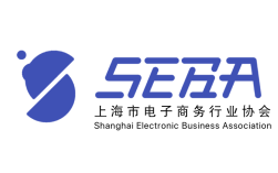 上海电商网站制作，如何高效搭建？