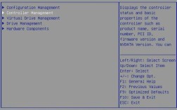 IBM服务器RAID配置步骤是什么？