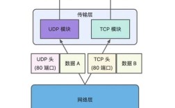 UDP与TCP服务器，核心差异与应用场景如何选？