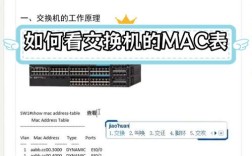 MacBook的服务器地址在哪查看？