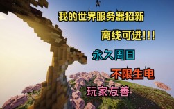 如何创建Minecraft服务器？