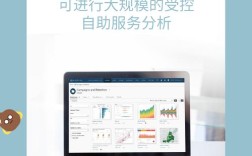 Tableau Online服务器如何高效管理与优化？