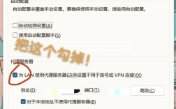 greenvnp无法获取服务器地址