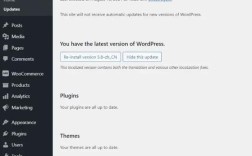 WordPress建站难不难？新手如何快速搭建？