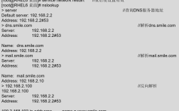 linux 配置dns服务器