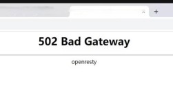 IIS服务器500错误怎么办？