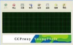 ccproxy代理服务器如何配置使用？