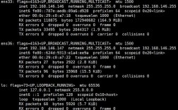 Linux网站配置怎么操作？