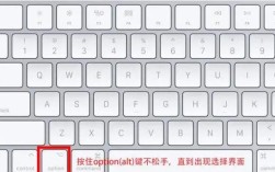 苹果电脑如何用U盘重装系统？