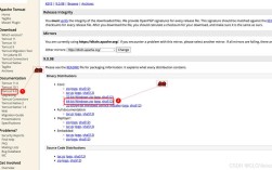 Tomcat socket服务器如何优化高并发连接处理？
