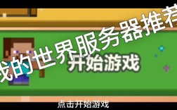 Minecraft服务器下载怎么选？安全吗？