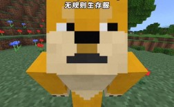 求我的世界手机版服务器IP是多少？