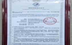 网站域名登记证明文件