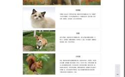 网站模板下载html，哪里能找到优质模板？