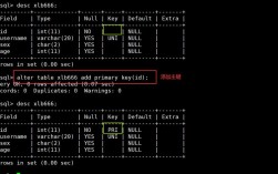 Oracle如何连接服务器数据库？