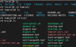 如何搭建Web服务器Tomcat？