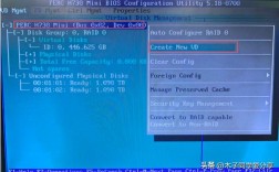 Dell服务器如何设置RAID？