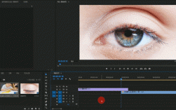 动态网站制作视频教程