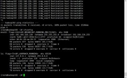 ping 服务器ping不通