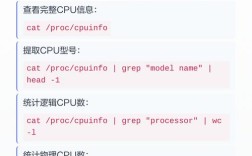Linux服务器CPU如何查看？