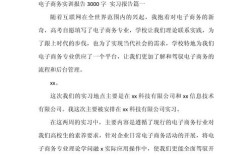 商务网站建设实训报告有何核心成果与启示？