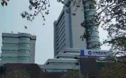 梅州网站建设哪家好？