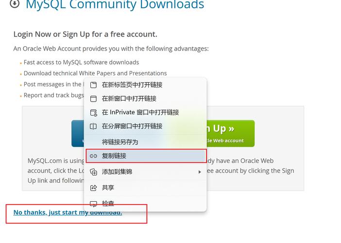 Linux安装MySQL数据库服务器步骤详解?-图3 Linux安装MySQL数据库服务器步骤详解?-图3
