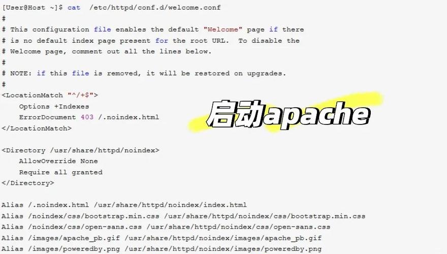 Apache Linux服务器搭建步骤详解？-图1