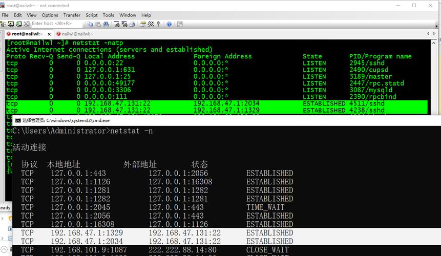 Linux socket服务器端如何高效处理多连接？-图1
