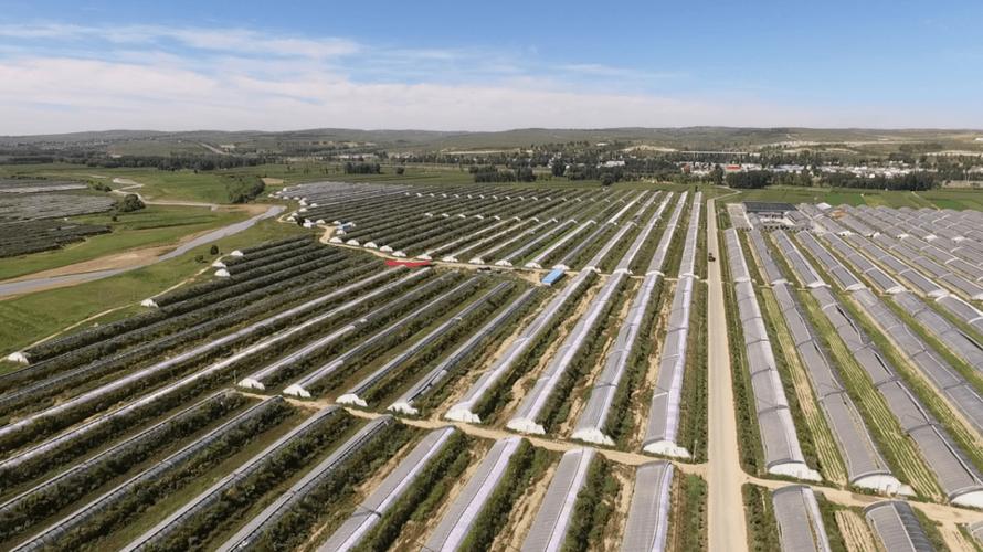 清水河网站制作建设如何选靠谱服务商？-图2