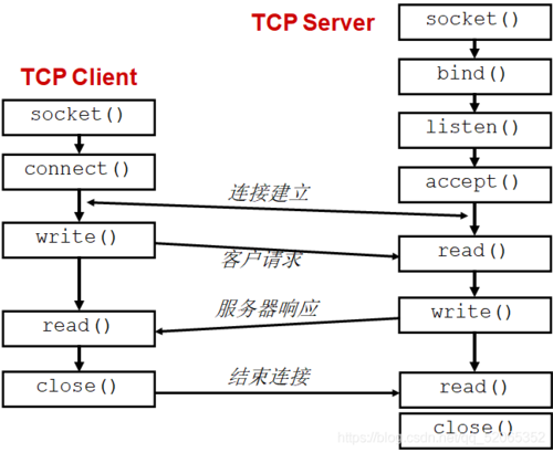 TCP服务器socket对象如何创建与管理？-图1