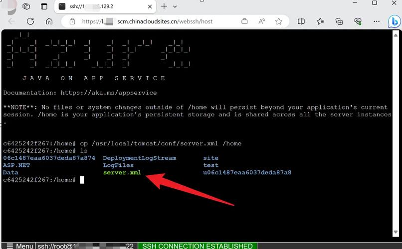 linux服务器 启动tomcat-图2