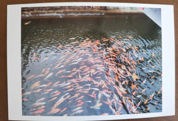 brother打印机连接电脑-图1