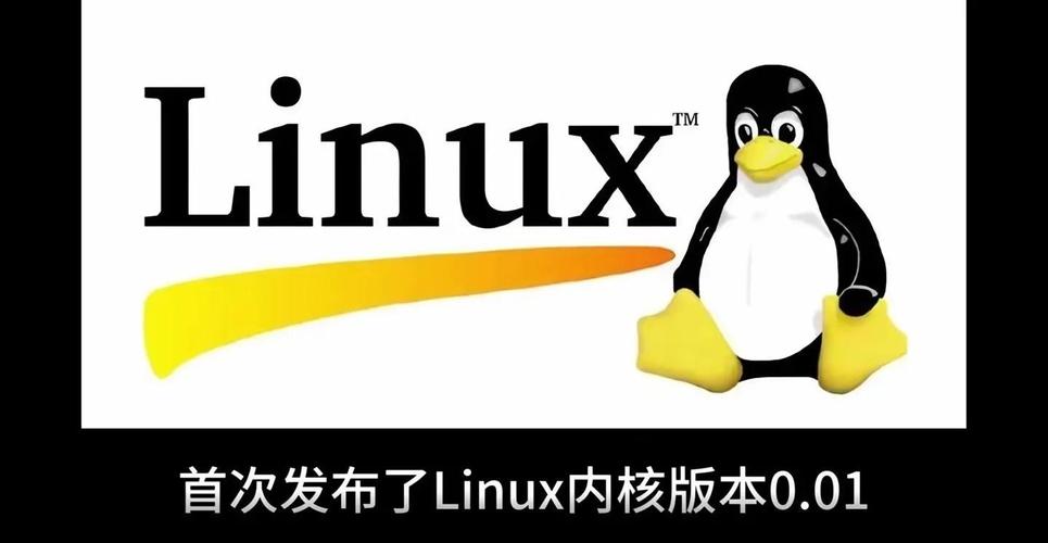 老段带你学鸟哥linux服务器篇，如何高效掌握？-图3