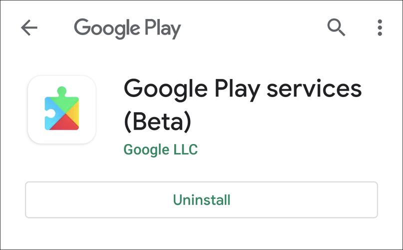 安卓Google Play服务器怎么用?-图1 安卓Google Play服务器怎么用?-图1