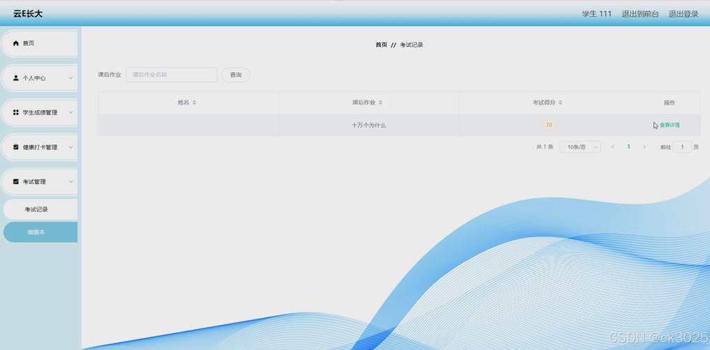 Spring Boot云服务器如何高效部署与运维？-图2
